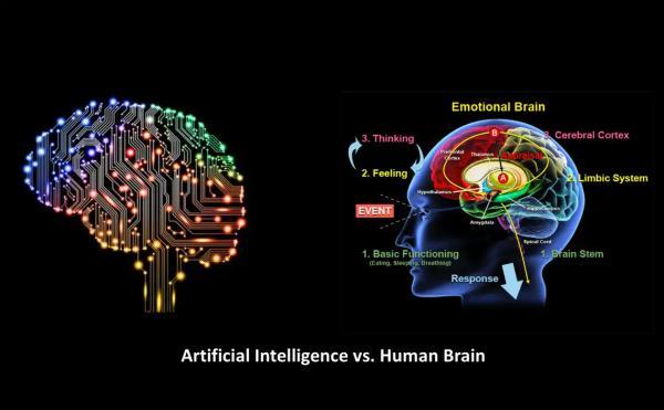 آیا حافظه هوش مصنوعی و حافظه انسان به یک شیوه واقعیت را پردازش می نمایند؟ 10 شباهت بنیادین